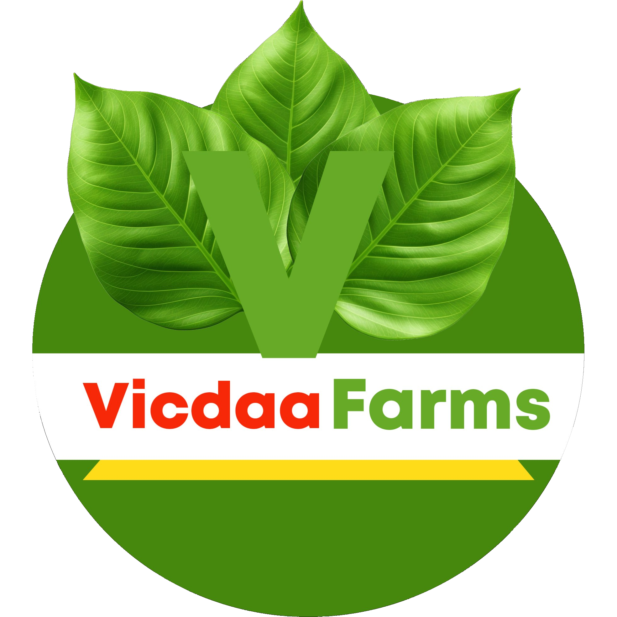 Vicdaa Farms